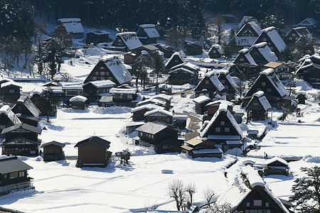 日本白川地村的景点建筑房子茅草遗产建筑学农场白川世界地标松树图片