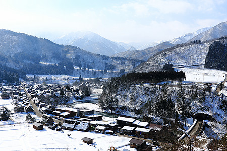 日本白川地村的景点遗产农场合掌建筑学小屋建筑历史茅草地标松树图片