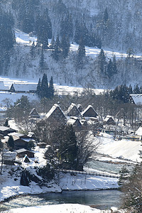 日本白川地村的景点村庄历史地标建筑学小屋白川世界住宅建筑茅草图片