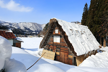 白川去村小屋合掌世界遗产松树白川瀑布运河房子农场住宅村庄图片