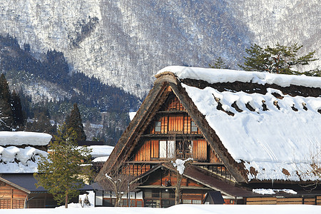 白川去村小屋农场遗产合掌茅草松树历史地标房子住宅白川图片