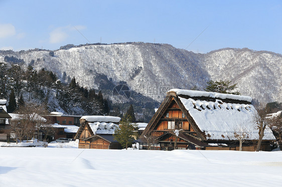 日本吉福白川戈茅草房子松树白川建筑农场合掌地标世界遗产运河图片