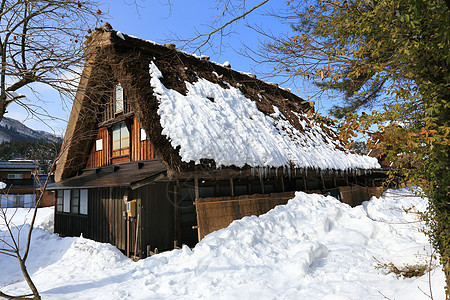 白川去村小屋茅草地标建筑学运河住宅松树村庄历史瀑布白川图片