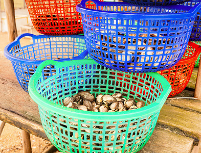 美食店铺桶里装着火食物市场农场蛤蜊销售贝壳美食贝类店铺海洋背景