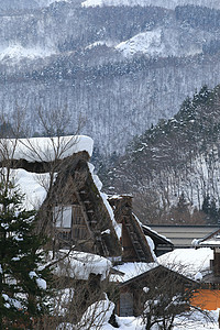 白川去村小屋建筑学合掌运河地标建筑历史农场白川瀑布松树图片