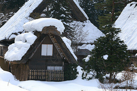 白川去村小屋地标住宅松树瀑布白川世界遗产村庄房子运河建筑图片