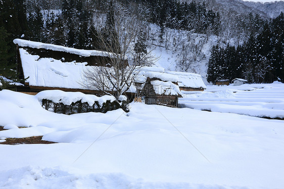 白川去村小屋历史地标建筑建筑学村庄房子遗产住宅运河合掌图片