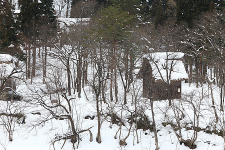 白川去村小屋茅草世界遗产合掌住宅农场遗产松树建筑房子瀑布图片