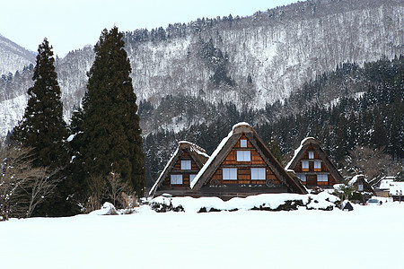 白川去村小屋地标房子建筑学瀑布建筑遗产松树历史农场茅草图片