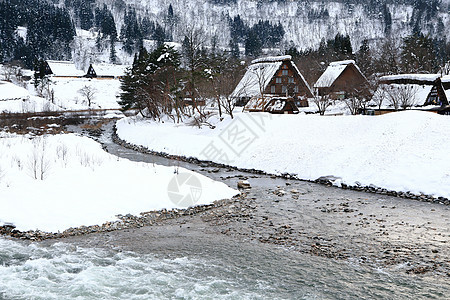 白川去村小屋合掌遗产松树建筑学建筑茅草住宅白川世界遗产运河图片