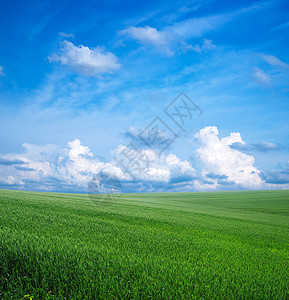 绿绿地场地土地晴天农村植物远景天堂牧场天气蓝色图片