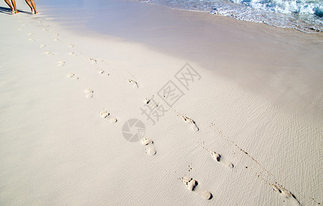 海滩上的脚印海浪海滨假期烙印脚步赤脚小路支撑打印海岸线图片