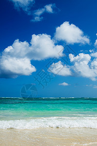 海 海天空太阳棕榈旅行假期海浪风景热带晴天叶子图片