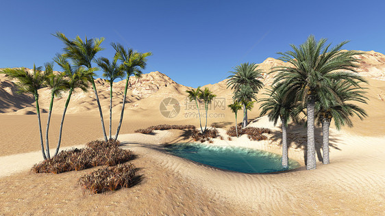 绿洲沙漠绘图图像绘画热带计算机气候旅行形状数字图片