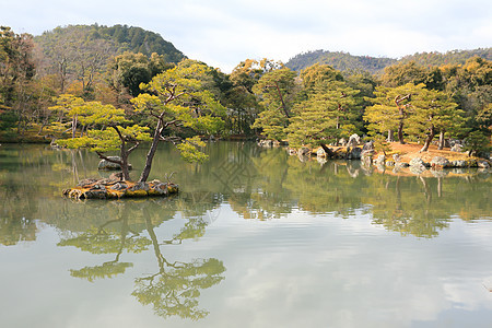 日本花园在著名的九角寺松树观光地标佛教徒文化旅行矮人反射寺庙樱花图片