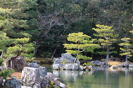 日本花园在著名的九角寺矮人旅行地标文化反射松树宗教樱花池塘旅游图片