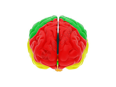 3D人脑智慧外科白色手术风暴知识分子神经头脑心理保健图片