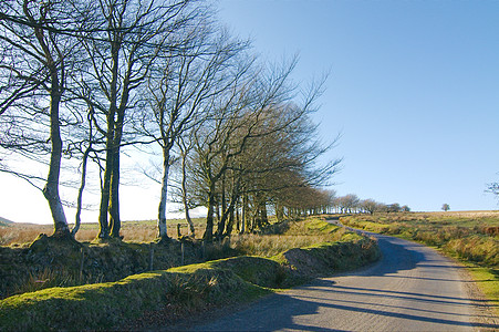 Exmoor 输出体棕色植物天空爬坡草原乡村图片