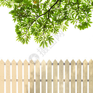 带绿叶的白栅栏木头农业花园邻里蓝色草地天空安全房子公园图片