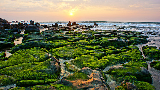绿苔 石石 海中日出图片