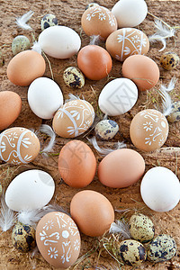 各种鸡蛋的背景背景羽毛装饰食谱白色稻草烹饪装饰品乡村时间棕色图片