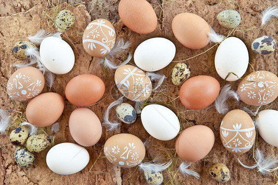 各种鸡蛋的背景背景食谱时间稻草烹饪白色棕色乡村装饰品羽毛装饰图片
