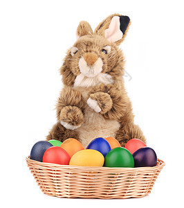 带复活节鸡蛋的篮子里有毛发狐狸兔子尾巴农场动物眼睛投标爪子毛皮耳朵生物红褐色图片