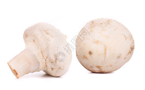 白蘑菇食物反射蔬菜白色美丽收获图片