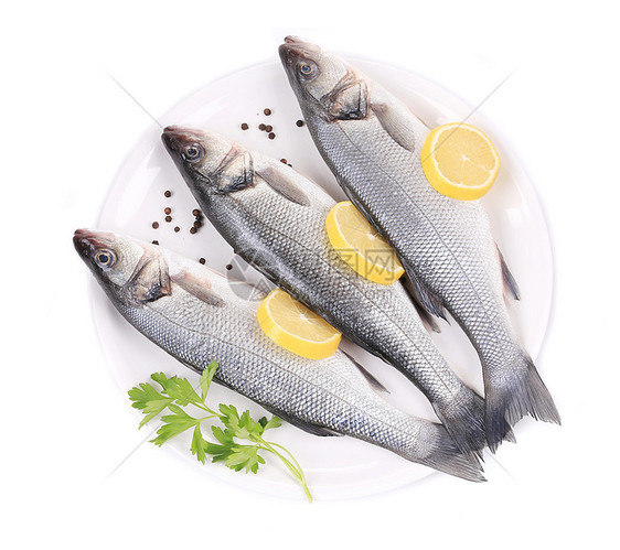 盘子上有三个生海盆白色海鲜宏观水产烹饪香菜鲈鱼柠檬食物圆盘图片