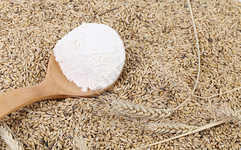 大米面粉面粉和面粉在小麦背景上作品农业玉米食物植物谷物桌子大麦炊具勺子背景