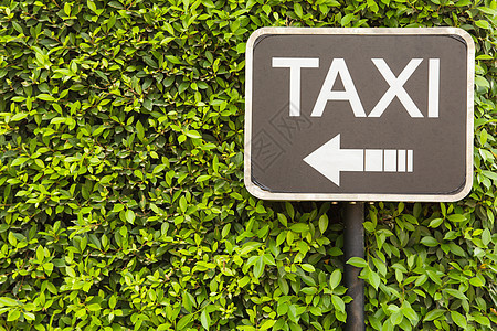 出租车牌号建筑绿色白色旅行运输木板汽车服务商业招牌图片
