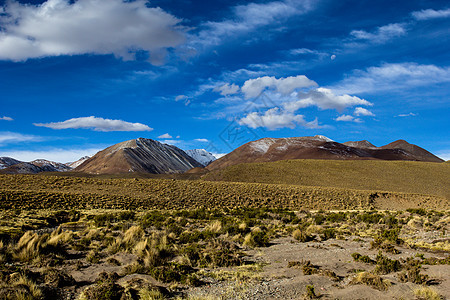 蓝色天空和白云之上的沙漠和山丘 玻利维亚阿尔提平洛气候土地风景国家山脉顶峰高度旅游火山植物图片