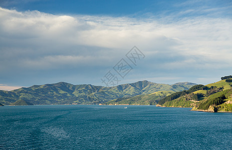 新西兰Akaroa海岸线绿色草地爬坡海洋农田农村海岸风景港口全景图片