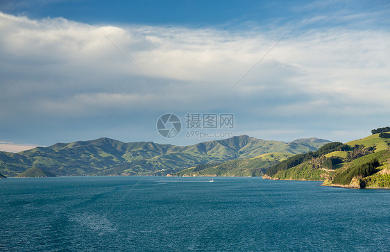 新西兰Akaroa海岸线绿色草地爬坡海洋农田农村海岸风景港口全景图片