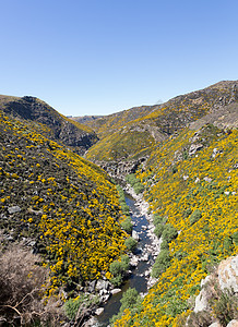 铁路在峡谷一侧 有桥风景植物旅行支架运输山脉黄色岩石窄轨丘陵图片