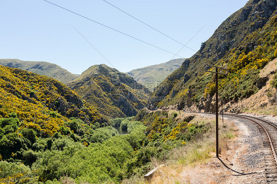 铁路在塔耶里峡谷的铁轨上行驶新西兰植物地标山脉风景金雀花丘陵单线火车黄色岩石图片