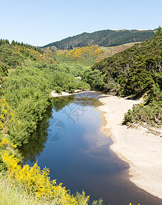 铁路在塔耶里峡谷的铁轨上行驶新西兰火车窄轨地标丘陵植物旅游运输旅行岩石山脉图片