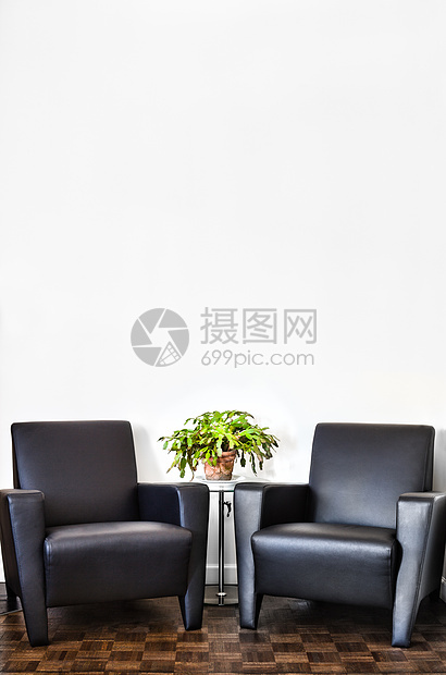 现代内务室和白墙镶嵌大厅住宅花盆硬木植物桌子房间皮革花朵图片