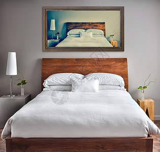 墙上布满欢乐罐子的清洁和现代床房卧室住宅枕头硬木艺术房地产酒店帆布植物风格图片