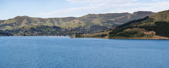 新西兰Akaroa海岸线半岛全景海洋海岸港口农田旅行乡村风景爬坡图片