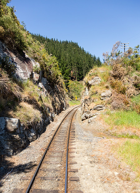 铁路在塔耶里峡谷的铁轨上行驶新西兰地标岩石山脉植物森林火车窄轨运输旅游旅行图片