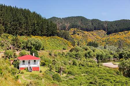 铁路在塔耶里峡谷的铁轨上行驶新西兰火车黄色植物窄轨阳台旅游岩石建筑旅行山脉图片