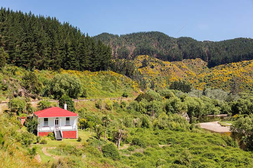 铁路在塔耶里峡谷的铁轨上行驶新西兰火车黄色植物窄轨阳台旅游岩石建筑旅行山脉图片