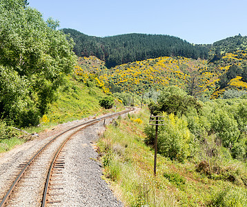 铁路在塔耶里峡谷的铁轨上行驶新西兰单线山脉运输地标植物丘陵窄轨旅行火车风景图片