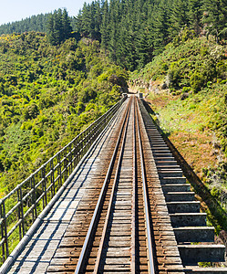 铁路在塔耶里峡谷的铁轨上行驶新西兰山脉单线森林窄轨运输火车岩石旅行丘陵地标图片