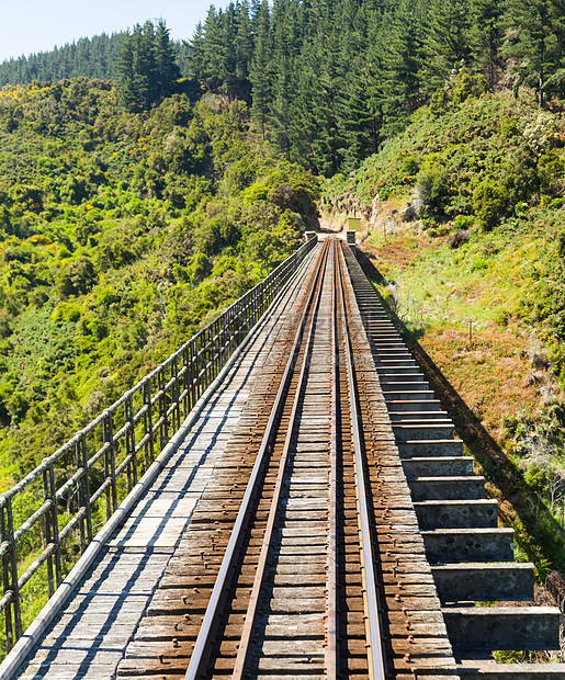 铁路在塔耶里峡谷的铁轨上行驶新西兰山脉单线森林窄轨运输火车岩石旅行丘陵地标图片