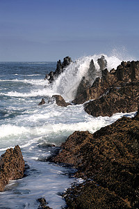 南非的沿海景点荒野热带海洋石头阳光气候旅游太阳冲浪海岸线图片