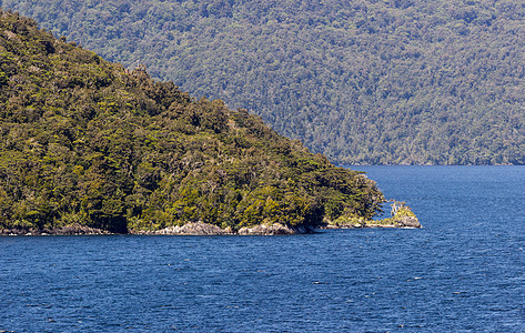 新西兰令人怀疑的声音之交组织顶峰岩石山脉旅行海洋场景峡湾反射海岸线悬崖图片