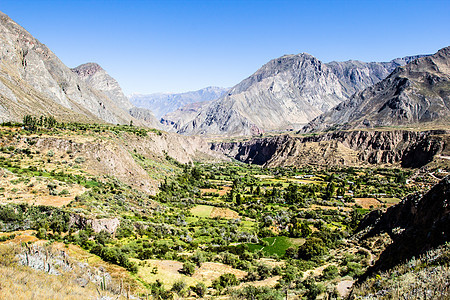 秘鲁 科塔瓦西峡谷 最深的峡谷植物农村高度秃鹰农业岩石丘陵风景瀑布场景图片