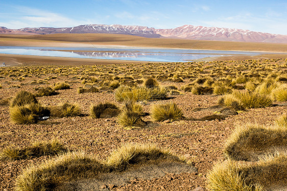 蓝色天空和白云之上的沙漠和山丘 玻利维亚阿尔提平洛山脉荒野火山国家高度气候风景旅行地区高原图片